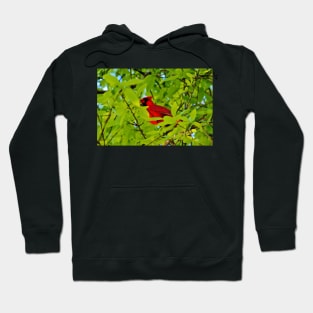 Red Bird In The Middle Hoodie